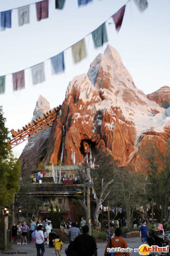 Imagen de Disney´s Animal Kingdom  Expedition Everest